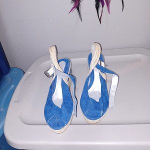 Blue wedges